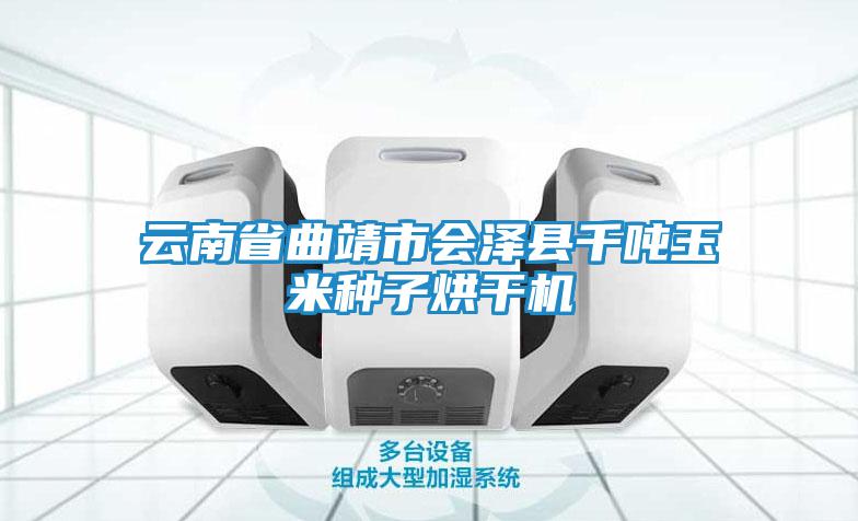 云南省曲靖市會澤縣千噸玉米種子烘干機