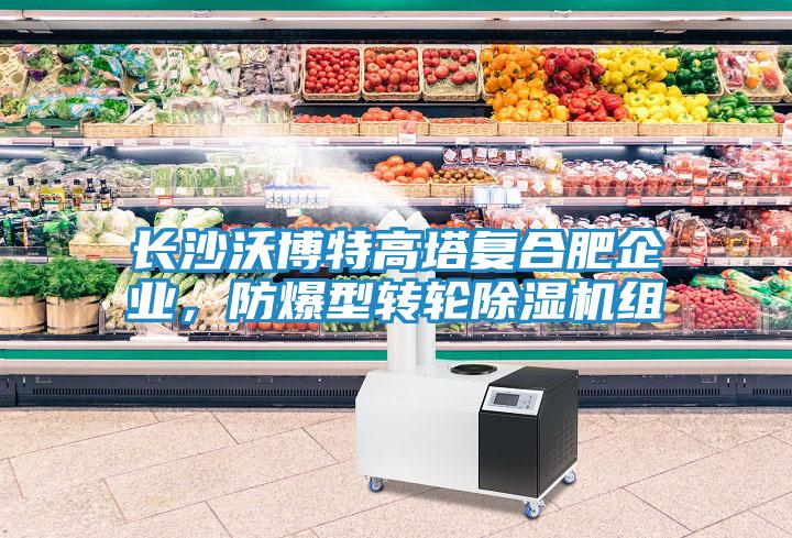 長沙沃博特高塔復合肥企業(yè)，防爆型轉(zhuǎn)輪除濕機組