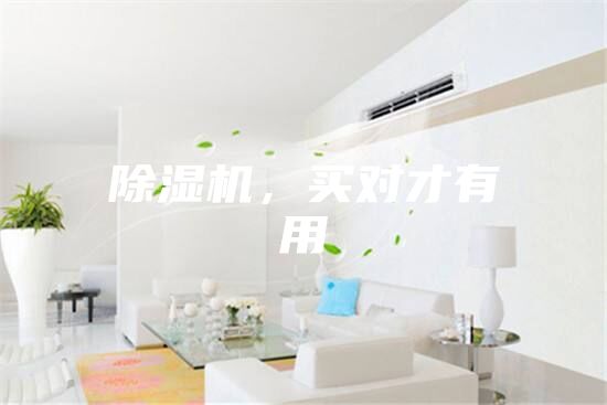 除濕機，買對才有用