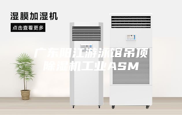 廣東陽江游泳館吊頂除濕機工業ASM