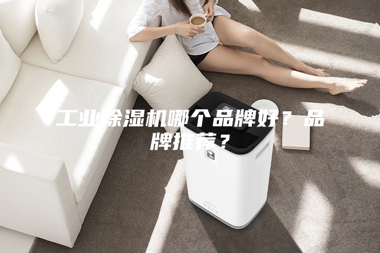 工業除濕機哪個品牌好？品牌推薦？