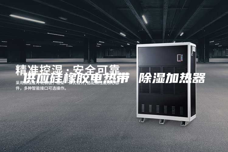 供應(yīng)硅橡膠電熱帶 除濕加熱器