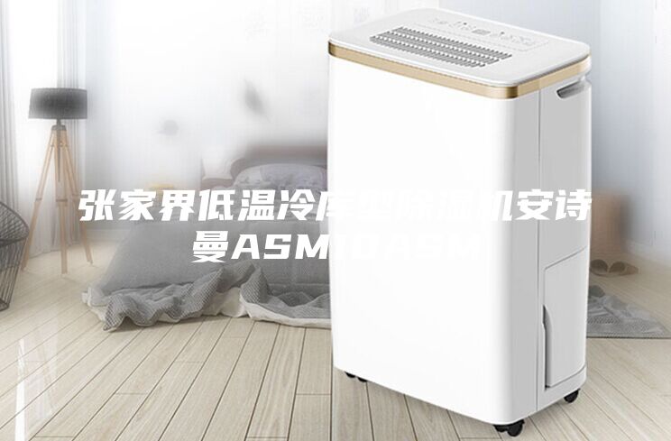 張家界低溫冷庫(kù)型除濕機(jī)安詩(shī)曼ASM10ASM