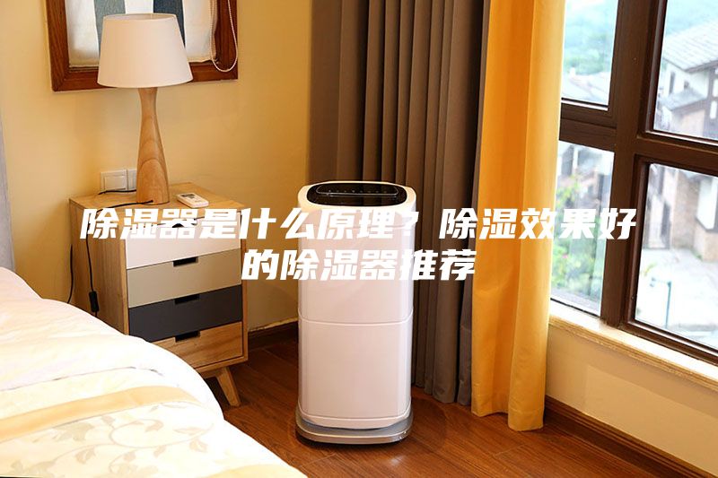 除濕器是什么原理？除濕效果好的除濕器推薦