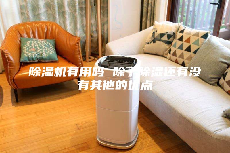 除濕機有用嗎 除了除濕還有沒有其他的優點