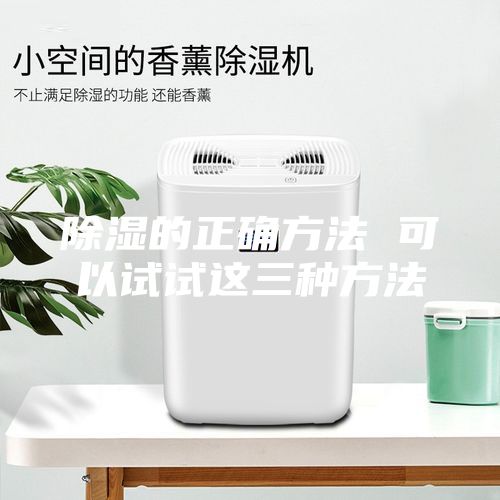 除濕的正確方法 可以試試這三種方法