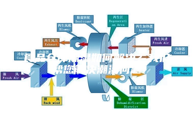 食品倉庫潮濕如何解決？我們幫您解決潮濕問題